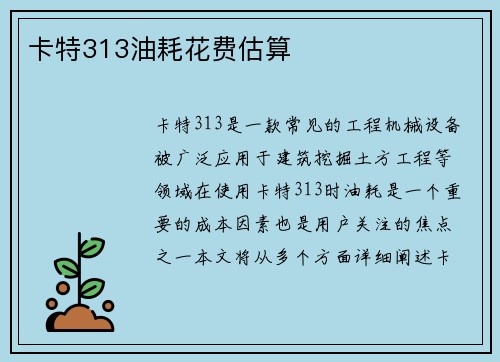 卡特313油耗花费估算